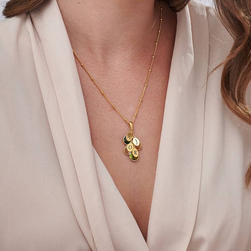 Custom Birthstone Drop Necklace for Mom in 18k Gold Vermeil-2 product photo